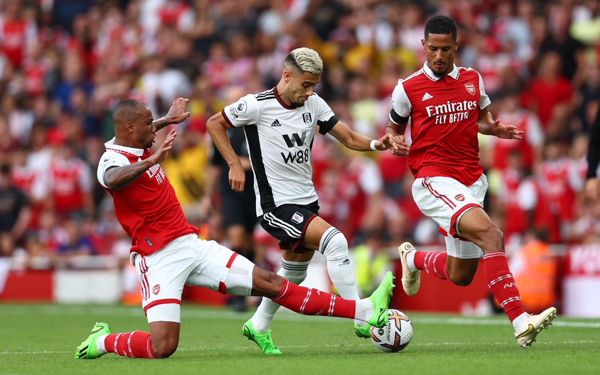 经验丰富的 经验丰富的